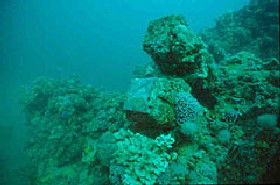 Adelaide's Underwater Heritage Trail - New South Wales Tourism  0