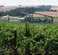 Kirrihill Wines - New South Wales Tourism 