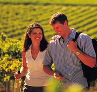 Lady Bay Vineyard - New South Wales Tourism 