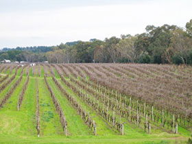 Dennis Wines - New South Wales Tourism  0