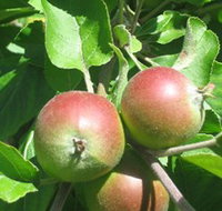 Sage Cooking School - New South Wales Tourism 