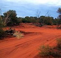 Tallaringa Conservation Park - New South Wales Tourism 