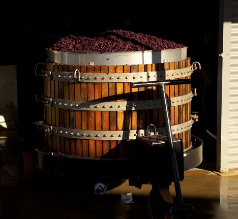 Greenock Creek Wines - New South Wales Tourism  1