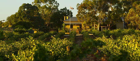 Greenock Creek Wines - New South Wales Tourism  2