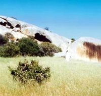Ucontitchie Hill - New South Wales Tourism 