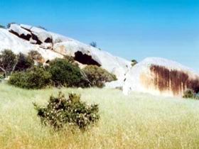Ucontitchie Hill - New South Wales Tourism  0