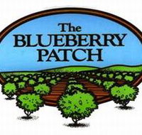 The Blueberry Patch - New South Wales Tourism 