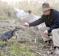 Sinclair's Gully - New South Wales Tourism 