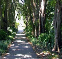 Adelaide Botanic Garden - New South Wales Tourism 