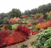 Emu Valley Rhododendron Garden - New South Wales Tourism 