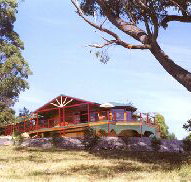 Barringwood Park Vineyard - New South Wales Tourism 