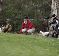 Tasmania Golf Club - The - New South Wales Tourism 