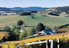 Freycinet Vineyards Pty Ltd - New South Wales Tourism  0