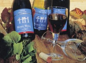 Home Hill Vineyard And Winery Restaurant - New South Wales Tourism  0