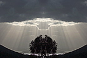 Aart. Gallery Of Fine Art - New South Wales Tourism  0