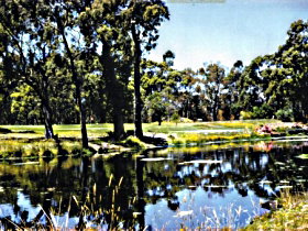 Smithton Country Club - New South Wales Tourism  0