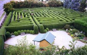 Westbury Maze And Tea Room - New South Wales Tourism  0