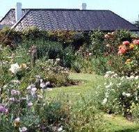 Rosedown Gardens - New South Wales Tourism 