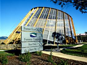 Cuckoo TAS New South Wales Tourism 