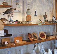Touchwood Craft Gallery Gifts and Cafe - New South Wales Tourism 