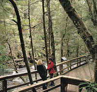 Franklin River Nature Trail - New South Wales Tourism 