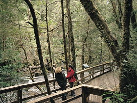 Franklin River Nature Trail - New South Wales Tourism  0