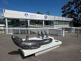 Australia's Antarctic Headquarters - New South Wales Tourism  0