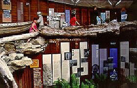 West Coast Visitor Information And Booking Centre - New South Wales Tourism  0