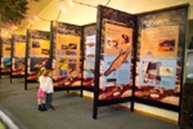 Platypus Experience - New South Wales Tourism  0