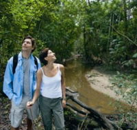 Mooloolah River National Park Jowarra Section - New South Wales Tourism 