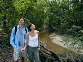 Mooloolah River National Park, Jowarra Section - New South Wales Tourism  0