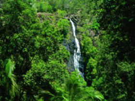 Montville QLD New South Wales Tourism 