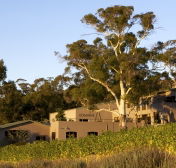 Domaine A / Stoney Vineyard - New South Wales Tourism 