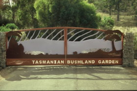 Tasmanian Bushland Garden - New South Wales Tourism  0