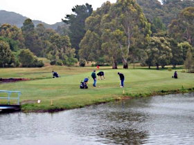 Penguin Golf Course - New South Wales Tourism  0