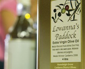 Unique Experiences Hallett Cove SA New South Wales Tourism 