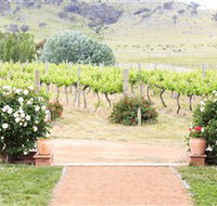 Brindabella Hills Winery - New South Wales Tourism 