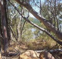 Black Mountain - New South Wales Tourism 