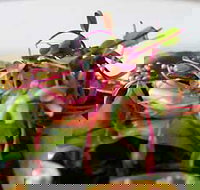 Courgette - New South Wales Tourism 