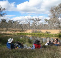 Canberra Nature Park - New South Wales Tourism 