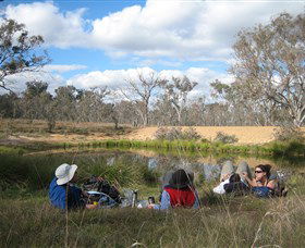 Canberra Nature Park - New South Wales Tourism  0
