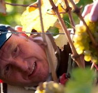 Puddleduck Vineyard - New South Wales Tourism 