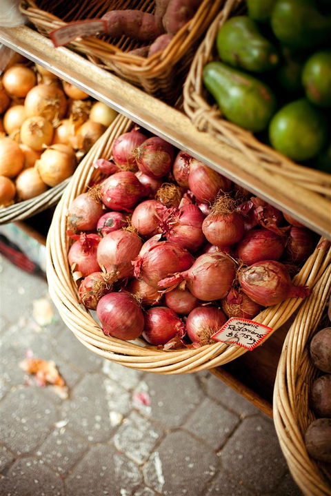 Salamanca Market - New South Wales Tourism  3