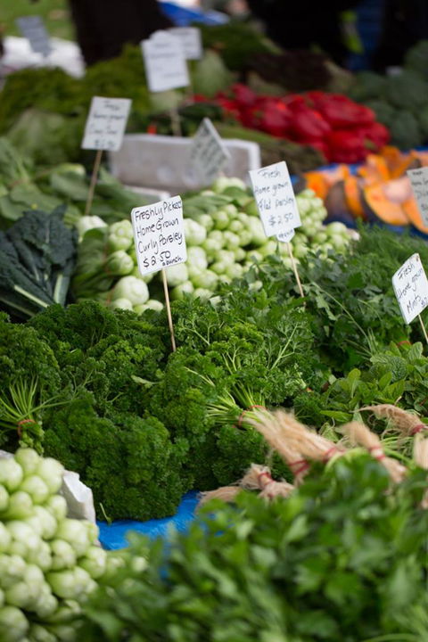 Salamanca Market - New South Wales Tourism  5