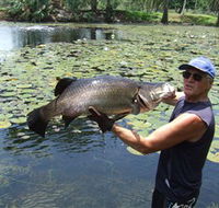 Barra Feeding - New South Wales Tourism 