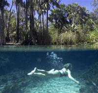 Bitter Springs - New South Wales Tourism 