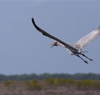 Gayngaru Wetlands Interpretive Walk - New South Wales Tourism 