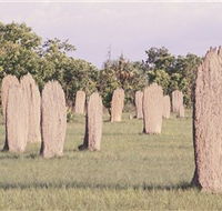 Magnetic Termite Mounds - New South Wales Tourism 