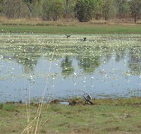 Leaning Tree Lagoon Nature Park - New South Wales Tourism 