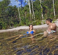 Tjaynera/Sandy Creek Falls - New South Wales Tourism 